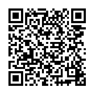 这个时候他们都真的想将责任都推到时美美的身上二维码生成