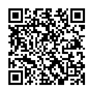 这个时候他已经知道自己背后的这个小萝莉修为远远超过自己二维码生成