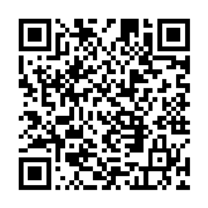 这个时候剩下的十五对人尊期大修士已经纠缠到了一起二维码生成