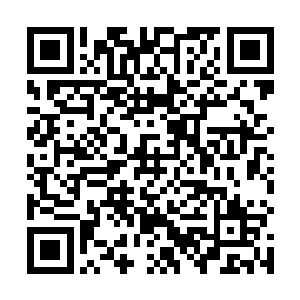 这个时候四周空间之中鬼气都在刹那之间被我吞噬一空二维码生成