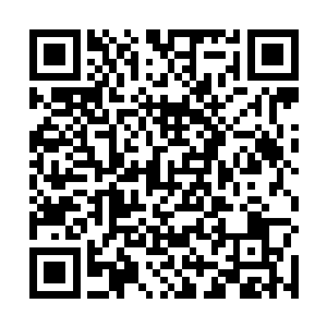 这个时候在人族之中搅风搅雨到处搞暗杀和破坏的势力二维码生成