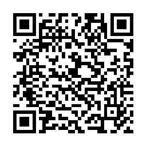 这个时候当然顾不得自己不是闯巫神塔的最佳年龄了二维码生成