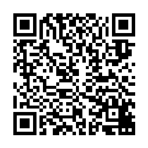 这个时候心中的疑问――这里不是太夏九大神州之一的中州吗二维码生成