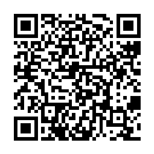 这个时候我越发的觉得要是让这些虫子离开这里的话二维码生成