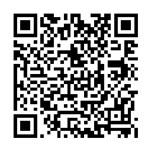 这个时候所有的兴趣全部的都在飞机模型上面了二维码生成