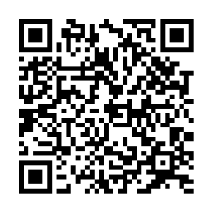 这个时候的韩佳儿看起来就像是一个恐怖的死亡女神二维码生成