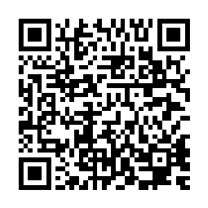 这个时候眼前这个无头身躯从脖颈处开始疯狂的冒出恐怖的蛆虫二维码生成