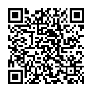 这个时候跑的脸色通红的龙阵和龙鸣父子俩也到了二维码生成