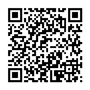 这个时候距离万仙大会已经只剩下一个月的时间了二维码生成