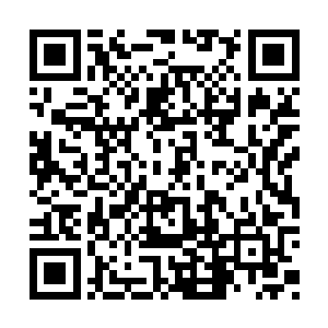 这个时候高台之上的道童却是不由得坐正了身子二维码生成