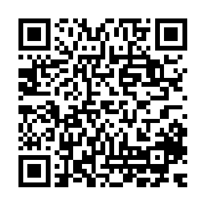 这个暴雨梨花还是留在秦方的手上比较好……暴雨梨花是修复了二维码生成