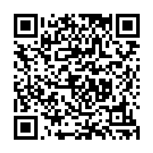 这个杀手组织能进入这个岐山路考核的人数就很可怕了二维码生成