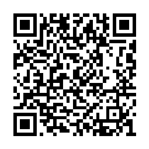 这个村子里和你年龄一样大的都已经出去打工了二维码生成