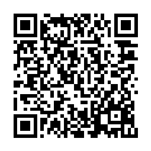 这个棺材之中很有可能就是开辟这片空间的主人二维码生成