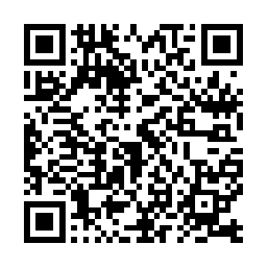 这个死地的造成就是07当时为了那个她做出的错误决定二维码生成