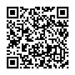 这个死婴就是这个法医从女尸的肚子里取出来的二维码生成