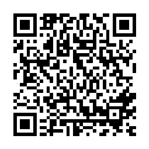 这个沈先生也会像那些有志之士像找到组织一样激动热泪盈眶二维码生成