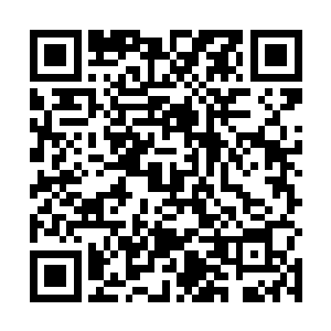 这个洞穴就空置了下来--悄悄谋划着一个又一个方案二维码生成