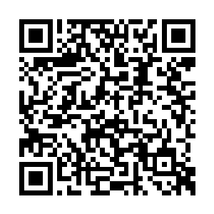 这个消息已经传遍了整个星城――叶妩涉嫌杀人二维码生成