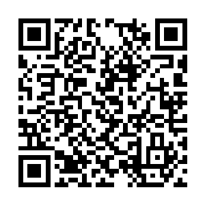 这个混合了定天门核心心法以及其他心法的新心法二维码生成