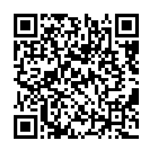 这个片区的只能医疗机器人就会立马赶到患者家中二维码生成