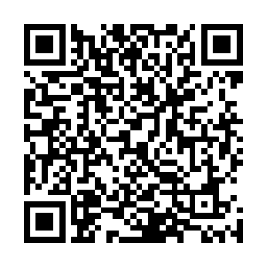 这个特别适合对面所有人都集合能力想来秒你一个人的时候二维码生成