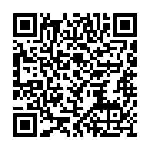 这个玩家将他玩游戏的经历写成了一个日记系列二维码生成