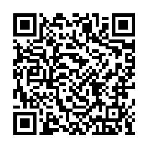 这个看见一个窈窕的身影在院子里忙前忙后的晒二维码生成