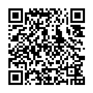 这个真不是…但二爷这个人物设定并非传统意义上的傻子二维码生成