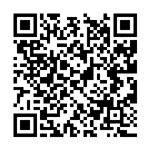 这个神族修士后悔不后悔与张潇晗又有什么关系呢二维码生成