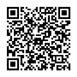 这个秘境是当年一位天帝用大神通强行吸入天庭里面的二维码生成