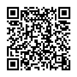这个穷的住在柴房的吃货能有什么余资与县尊大人二维码生成
