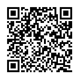 这个空间分明就是你师父为了你专门开辟出来的二维码生成