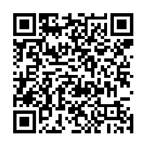 这个等级甚至成为了无数派对组织者奉为圣经的名人数据库二维码生成