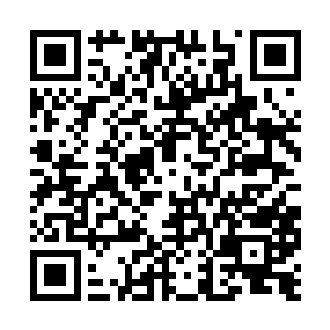这个答案应该是明新大师和聂云大师商议而来的吧二维码生成