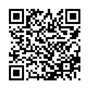 这个糖葫芦是之前鸾依给它掏钱买下的二维码生成