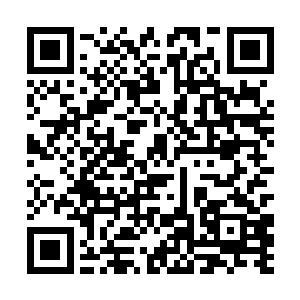 这个素来温顺的长孙女今天居然让自己碰了个软钉子二维码生成