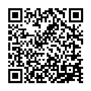 这个老狐狸一旦对自己如此客气肯定有事要求到自己了二维码生成