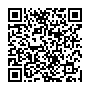 这个胖子是要逆天啊……身为一个龙套你强成这样真的好吗二维码生成