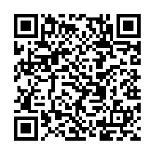 这个能一招将他击杀的强者却在低声下气地求着他二维码生成
