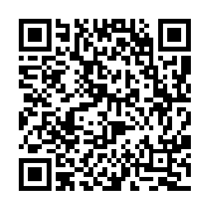 这个脑抽胖子是怎么变成第二个退出斗医大会的人的二维码生成