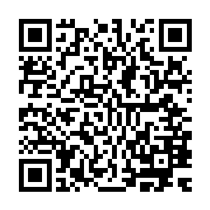 这个脸上还残留着青春痘一脸稚嫩的高中生赌气似地看着葛大炮二维码生成