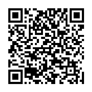 这个自己和先帝等人辛辛苦苦开创的泱泱大国便会毁于一旦二维码生成
