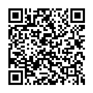 这个营地竟是陷入到了一片坟墓也似的死寂当中二维码生成