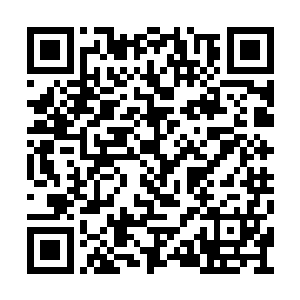 这个蓝衣年轻人的武道境界必然也到了极高地步二维码生成