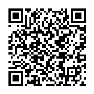 这个蠢女人……坐拥天书竹简这种诺亚级生产神器二维码生成