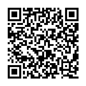 这个被辛西娅的重利诱惑的撕碎停战协议的混蛋二维码生成