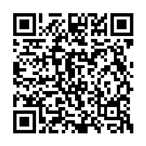 这个要求在当时的他看来简直是质朴的让人心碎二维码生成