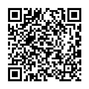 这个计划原本就没有打算在这个时间段内开始执行二维码生成