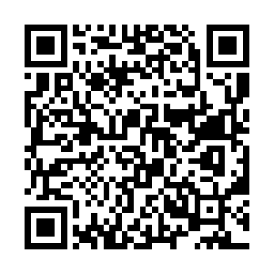 这个诅咒带给了他们强大的力量――他们可以控制风二维码生成